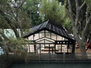 Metal Glass Greenhouse Ysgh 172